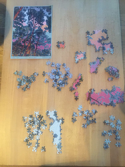 passion pour le puzzle